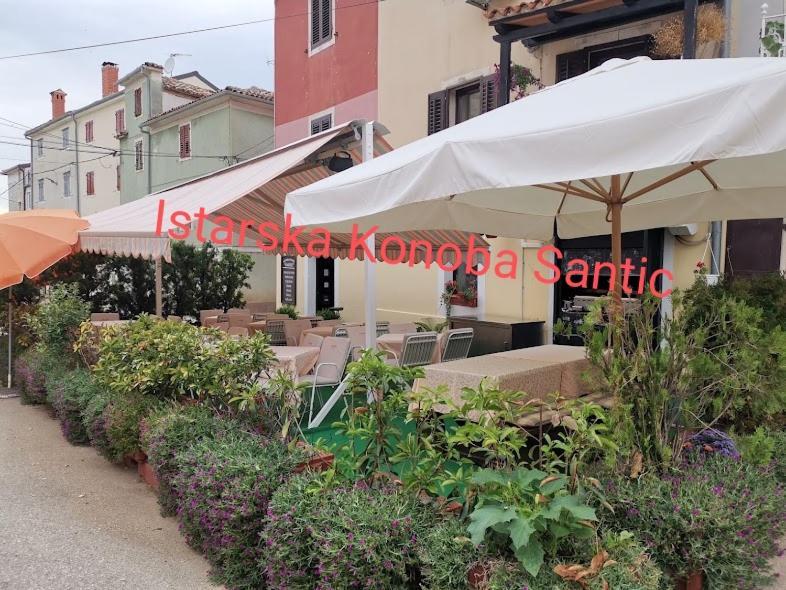 Apartamento Aisha Brtonigla Exterior foto